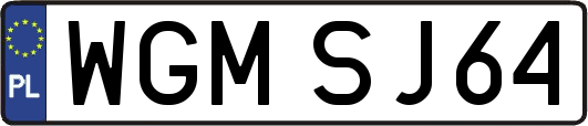 WGMSJ64