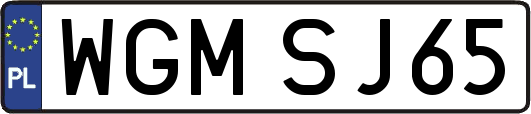 WGMSJ65