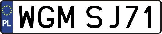 WGMSJ71