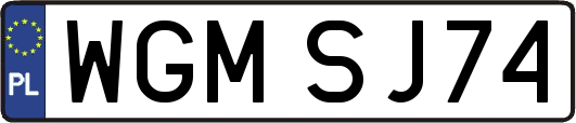 WGMSJ74