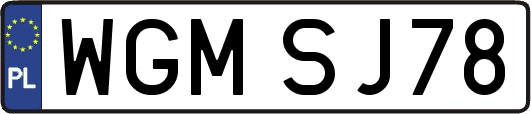 WGMSJ78