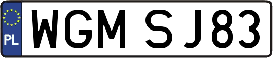 WGMSJ83