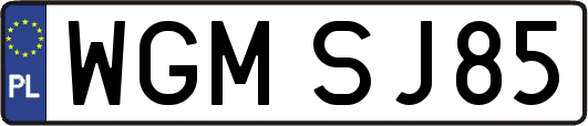 WGMSJ85