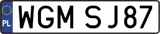 WGMSJ87