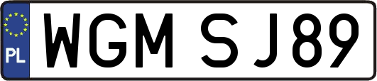 WGMSJ89