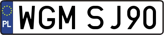 WGMSJ90