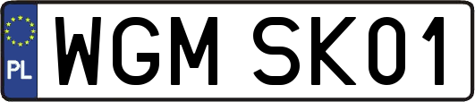 WGMSK01