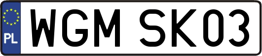 WGMSK03