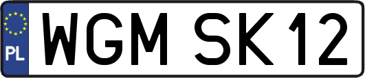 WGMSK12