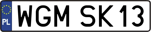WGMSK13