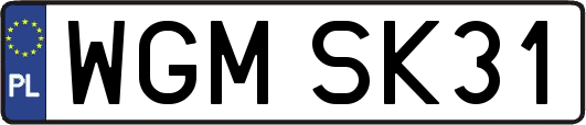 WGMSK31