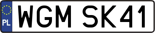WGMSK41
