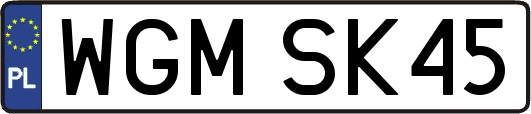 WGMSK45