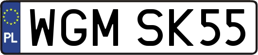 WGMSK55