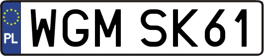 WGMSK61
