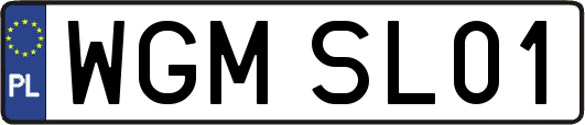 WGMSL01