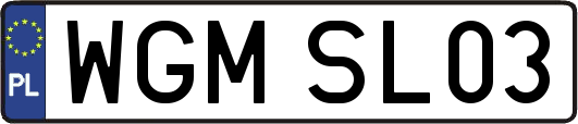 WGMSL03
