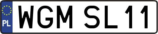 WGMSL11