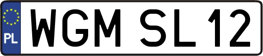 WGMSL12