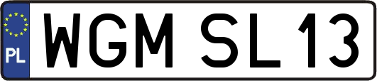 WGMSL13