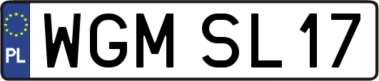 WGMSL17
