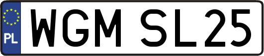 WGMSL25