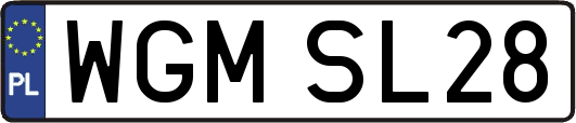 WGMSL28