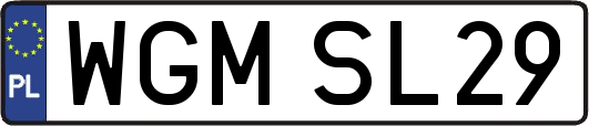 WGMSL29