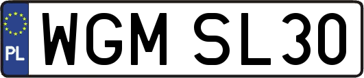 WGMSL30
