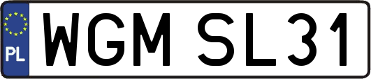 WGMSL31