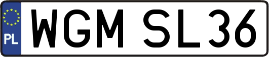 WGMSL36