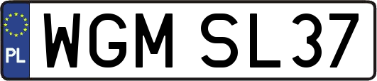 WGMSL37