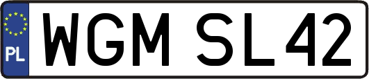 WGMSL42