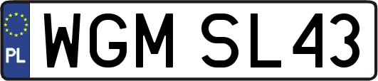 WGMSL43