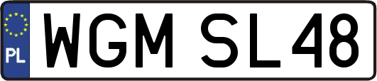 WGMSL48