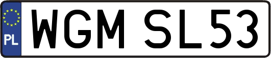 WGMSL53