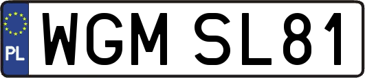 WGMSL81