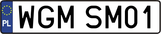 WGMSM01