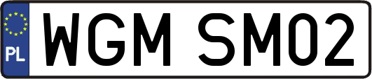 WGMSM02