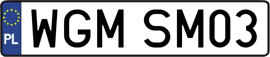 WGMSM03