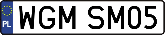 WGMSM05