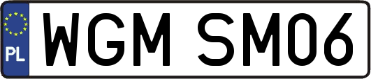 WGMSM06