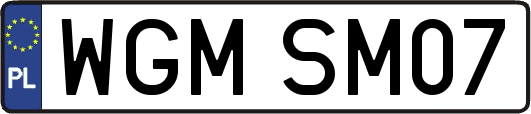 WGMSM07