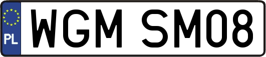 WGMSM08