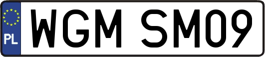 WGMSM09