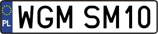 WGMSM10