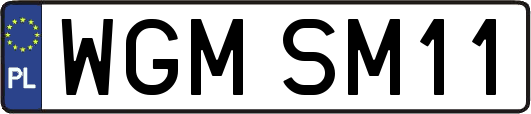 WGMSM11