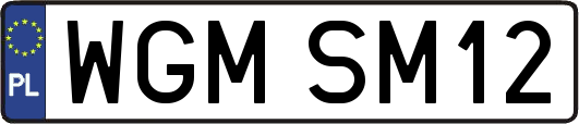 WGMSM12
