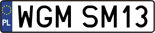WGMSM13