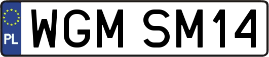 WGMSM14